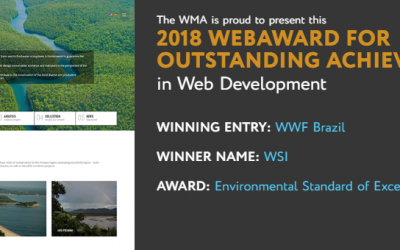WSI Innova fatura prêmio internacional WebAwards 2018