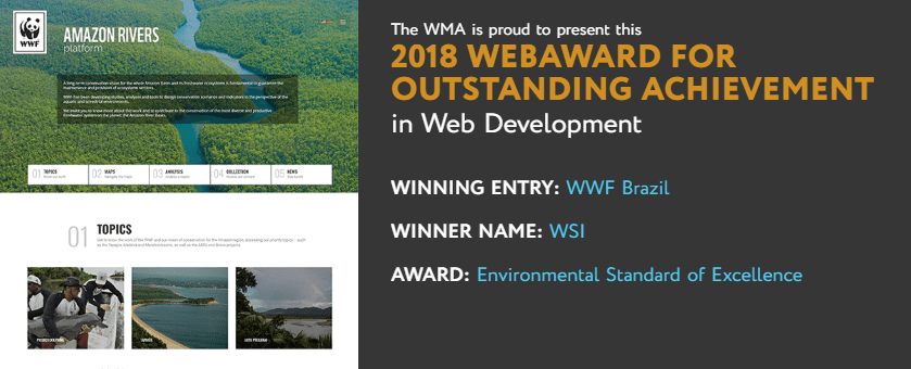 WSI Innova fatura prêmio internacional WebAwards 2018