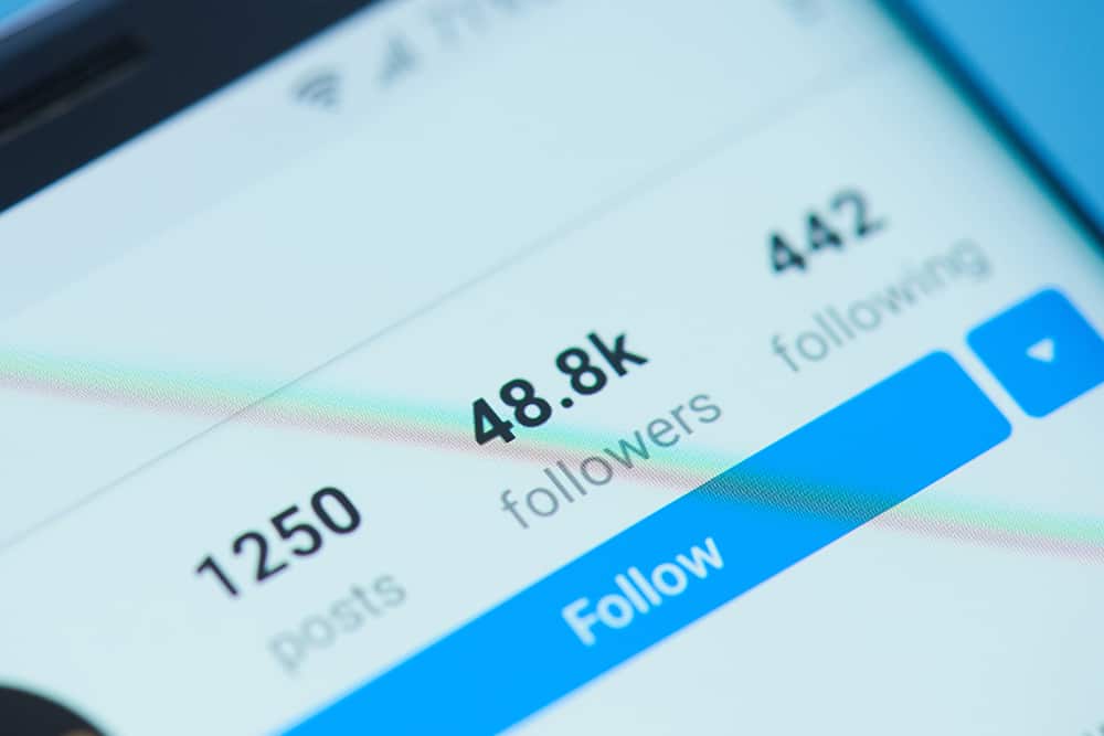 Quer saber como ganhar seguidores no Instagram? Confira essas 5 dicas!